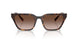 821313 - Tortoise - Gradient Brown