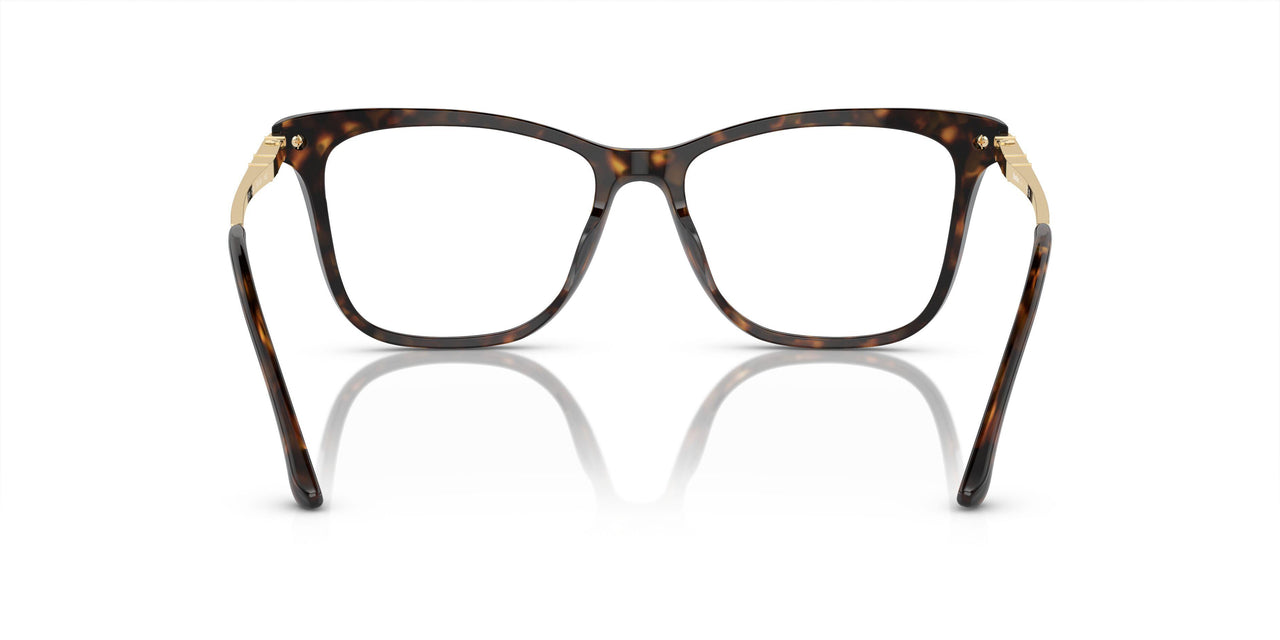 C543 - Tortoise