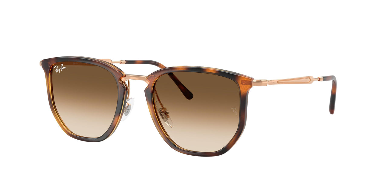 Ray-Ban 4451 Sunglasses
