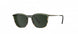 5540 - Brown marbled / Champagne - SLM Green