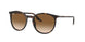 Ray-Ban 2204F Sunglasses