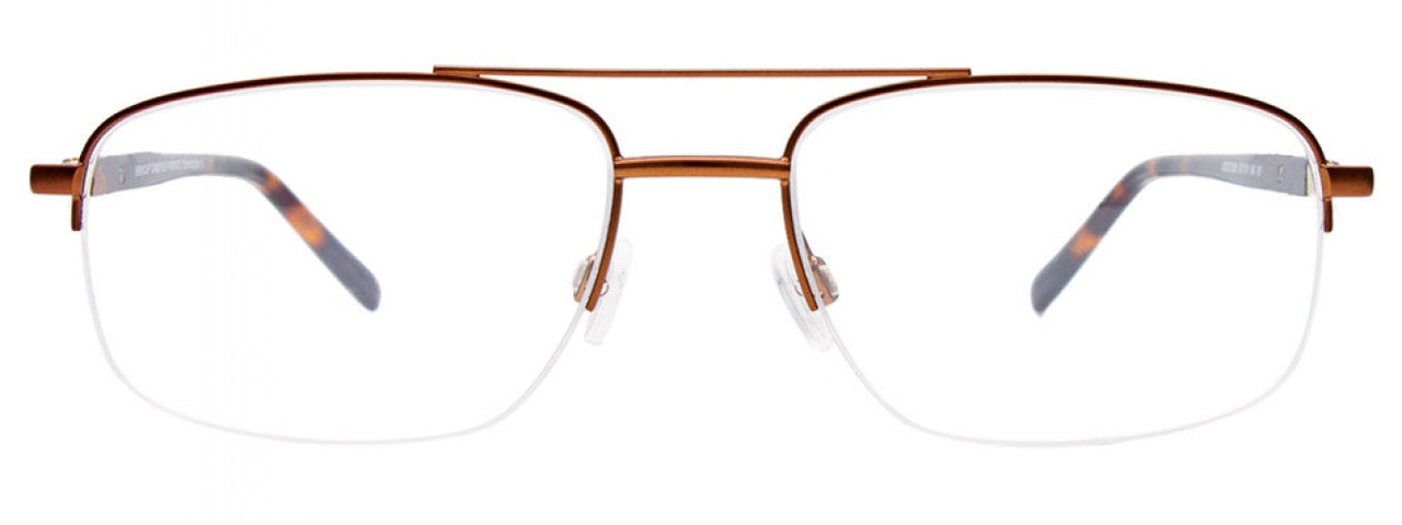 10 - Brown Brushed Metal & Black / Brown Tortoise