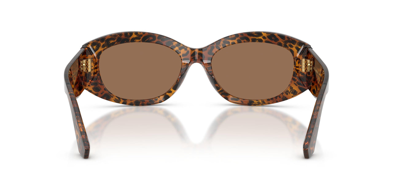 347073 - Brown - Dark Brown