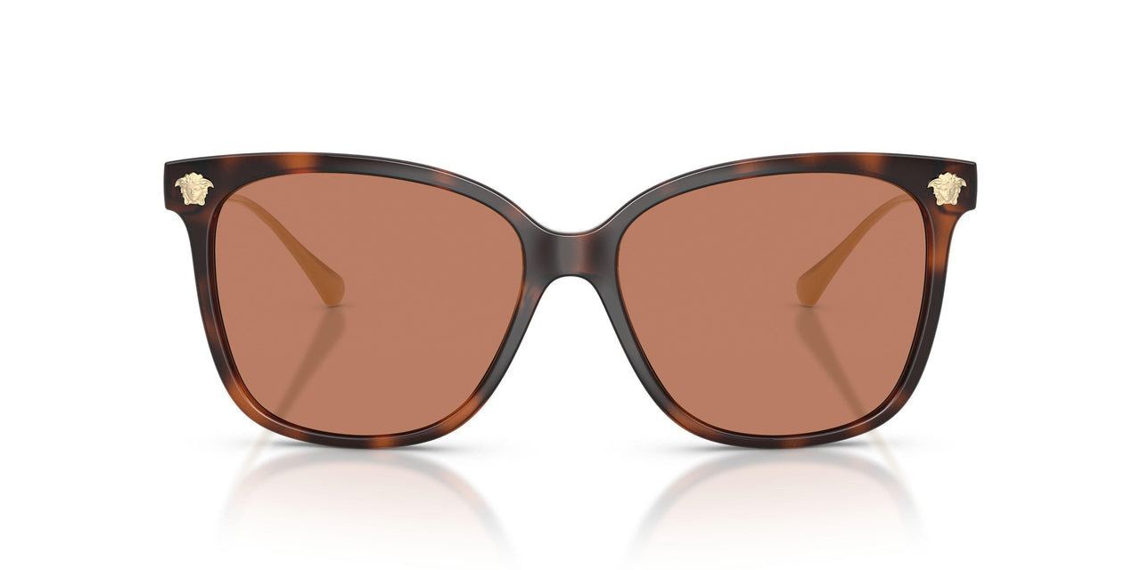 108/73 - Tortoise - Brown