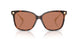 108/73 - Tortoise - Brown