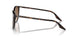 902/51 - Tortoise - Clear/brown