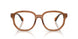 3017 - Brown