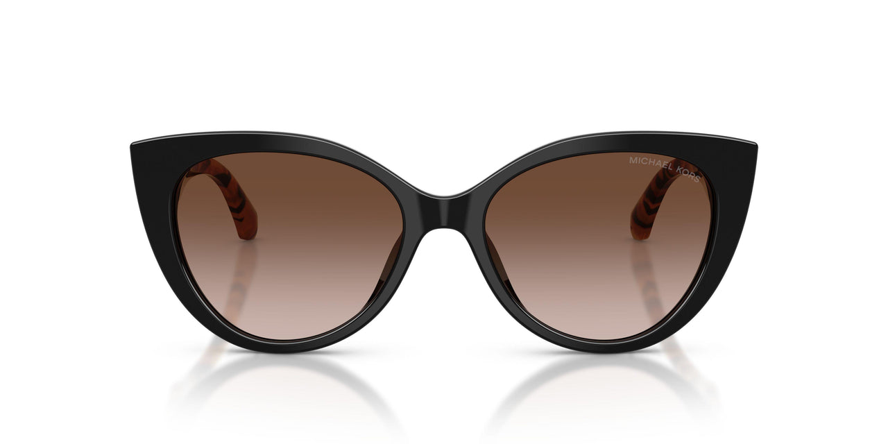 300513 - Black - Brown Gradient