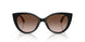 300513 - Black - Brown Gradient