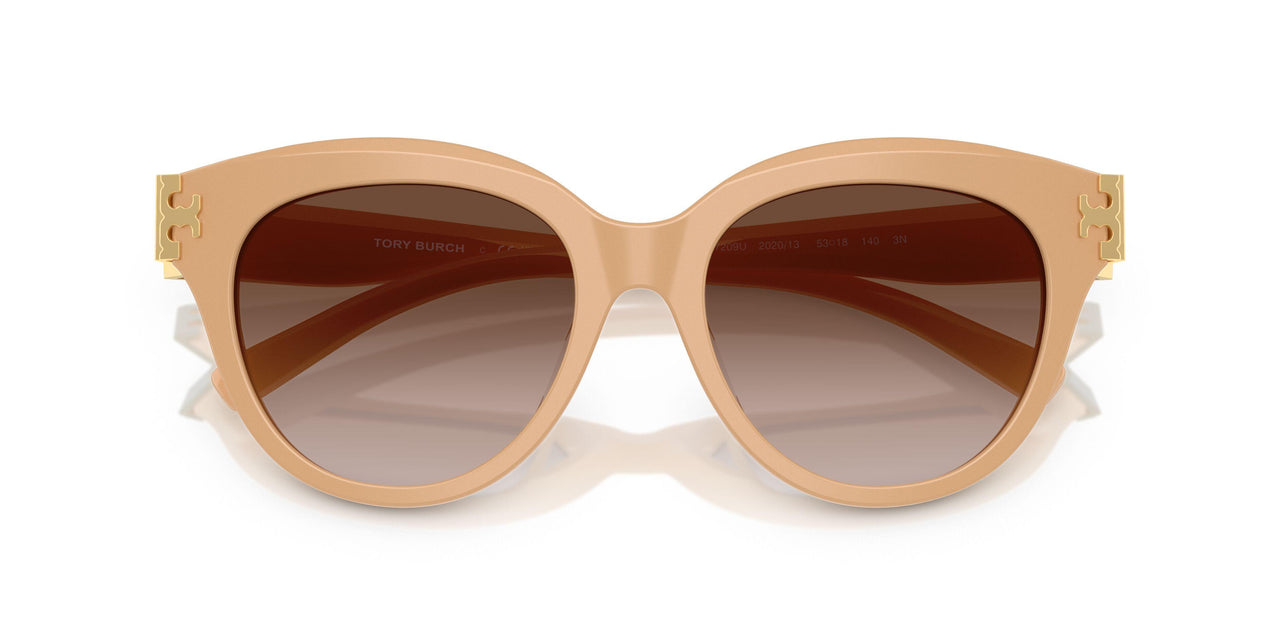 202013 - Pink - Brown Gradient