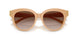 202013 - Pink - Brown Gradient
