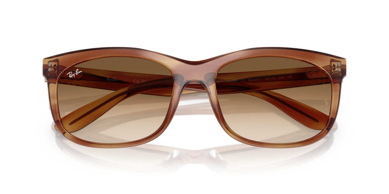 140351 - Tortoise - Clear Gradient Brown