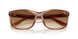 140351 - Tortoise - Clear Gradient Brown