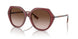 401813 - Bordeaux - Brown Gradient