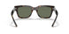108/V8 - Havana - Green Monogram Silver