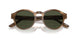 590058 - Brown - Green