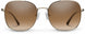 2081103YG57LA - Polarized Brown Gradient