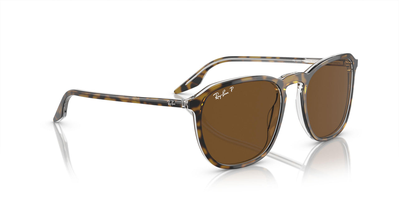 139357 - Tortoise - Brown