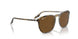 139357 - Tortoise - Brown