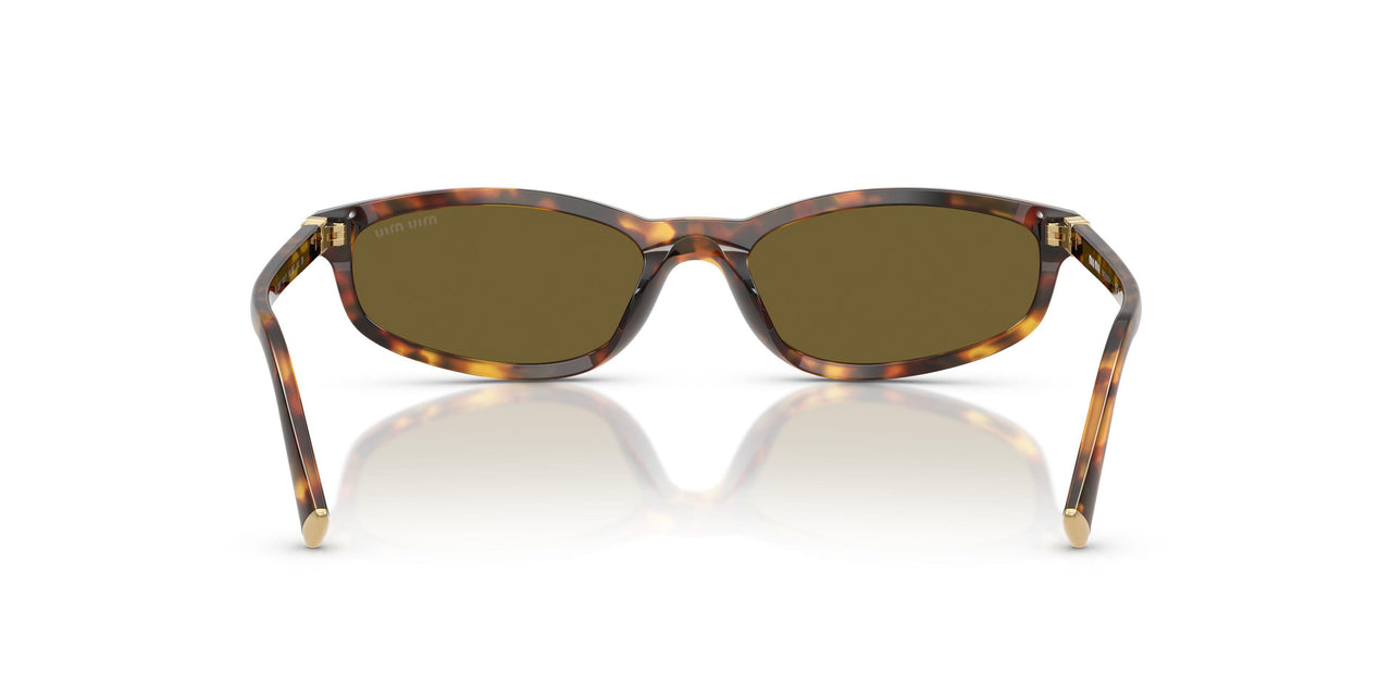14L09Z - Tortoise - Dark Brown
