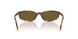 14L09Z - Tortoise - Dark Brown