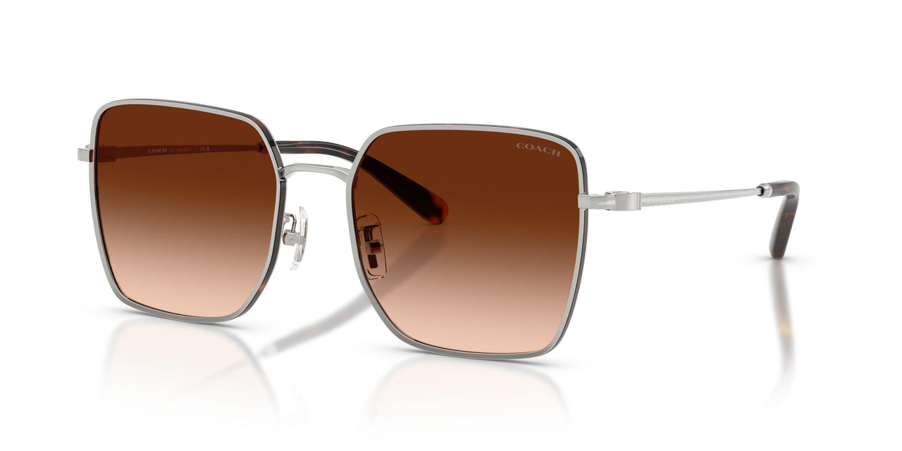 94775M - Silver - Brown Gradient