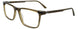 60 - Transparent Khaki & Black