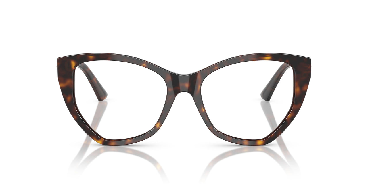 5002 - Tortoise