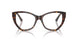 5002 - Tortoise