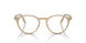 1169 - Brown - Clear