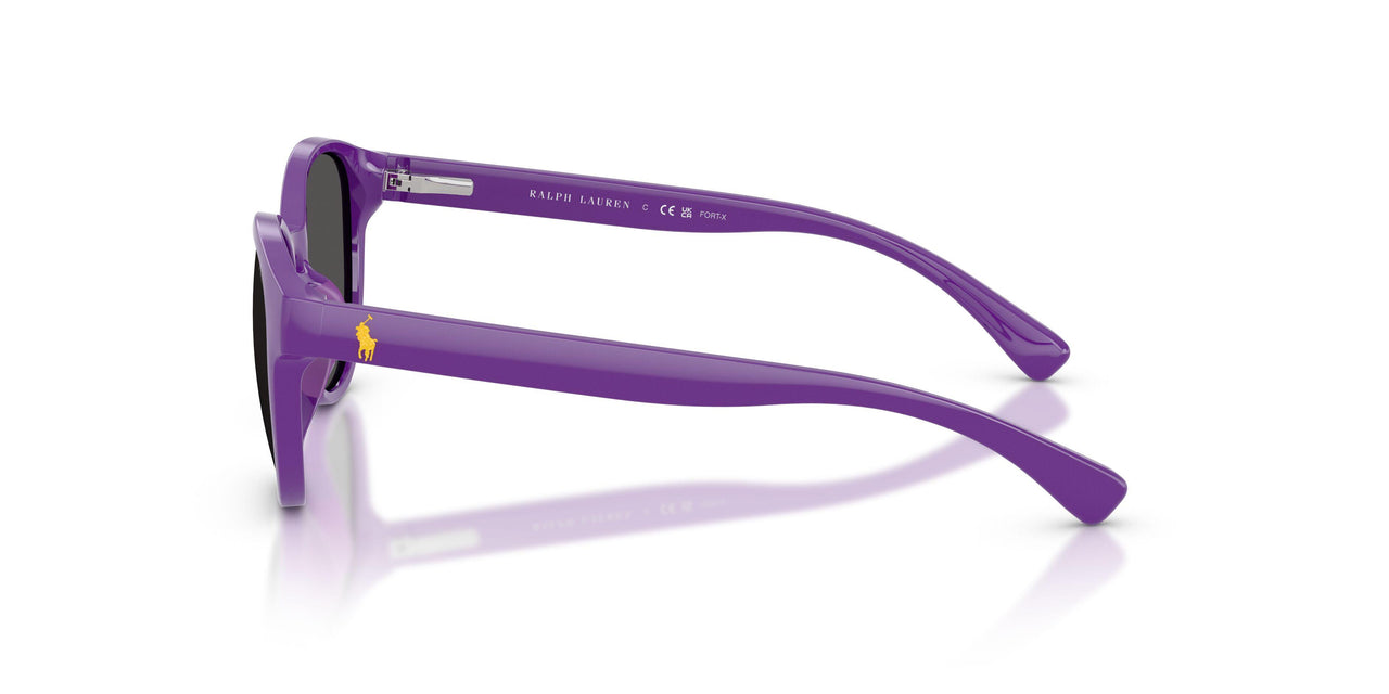 632787 - Violet - Dark Grey