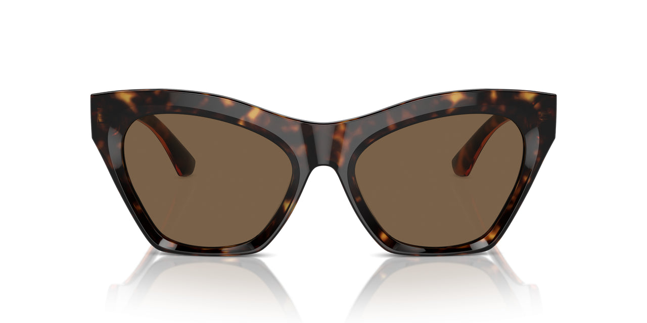 300273 - Brown - Dark Brown