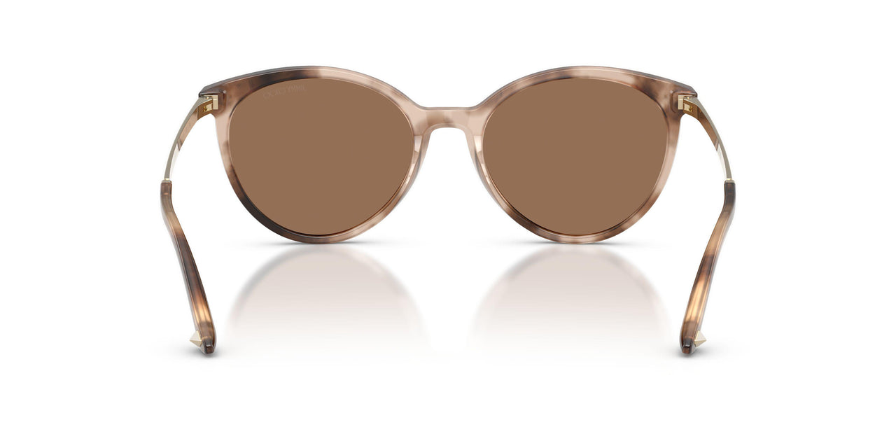 509773 - Tortoise - Dark Brown