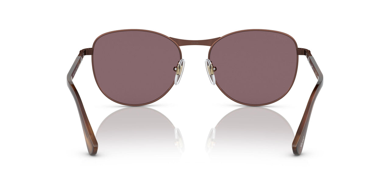 1124AF - Brown - Dark Violet Polar