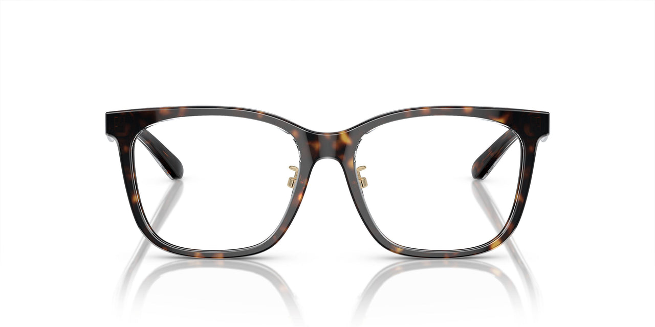 6052 - Tortoise