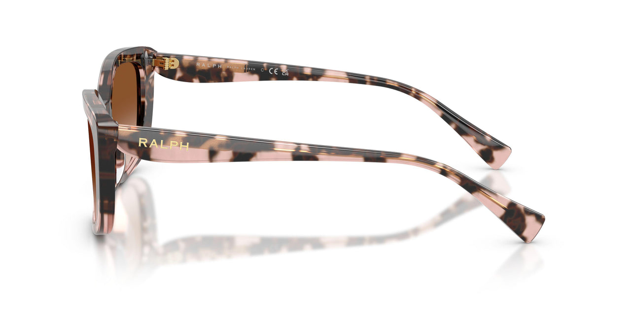 605813 - Tortoise - Gradient Brown