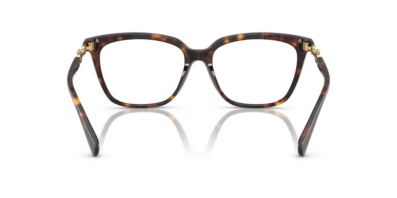5026 - Tortoise