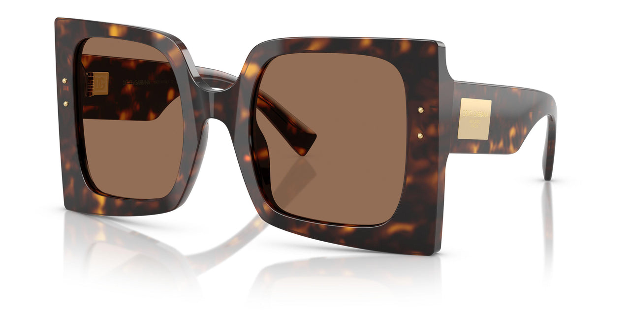 502/73 - Tortoise - Dark Brown