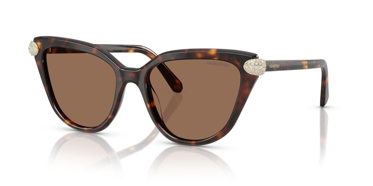 100273 - Tortoise - Dark Brown