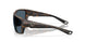 912911 - Tortoise - Gray