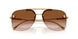 100213 - Gold - Brown Gradient