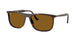 902/33 - Tortoise - Brown