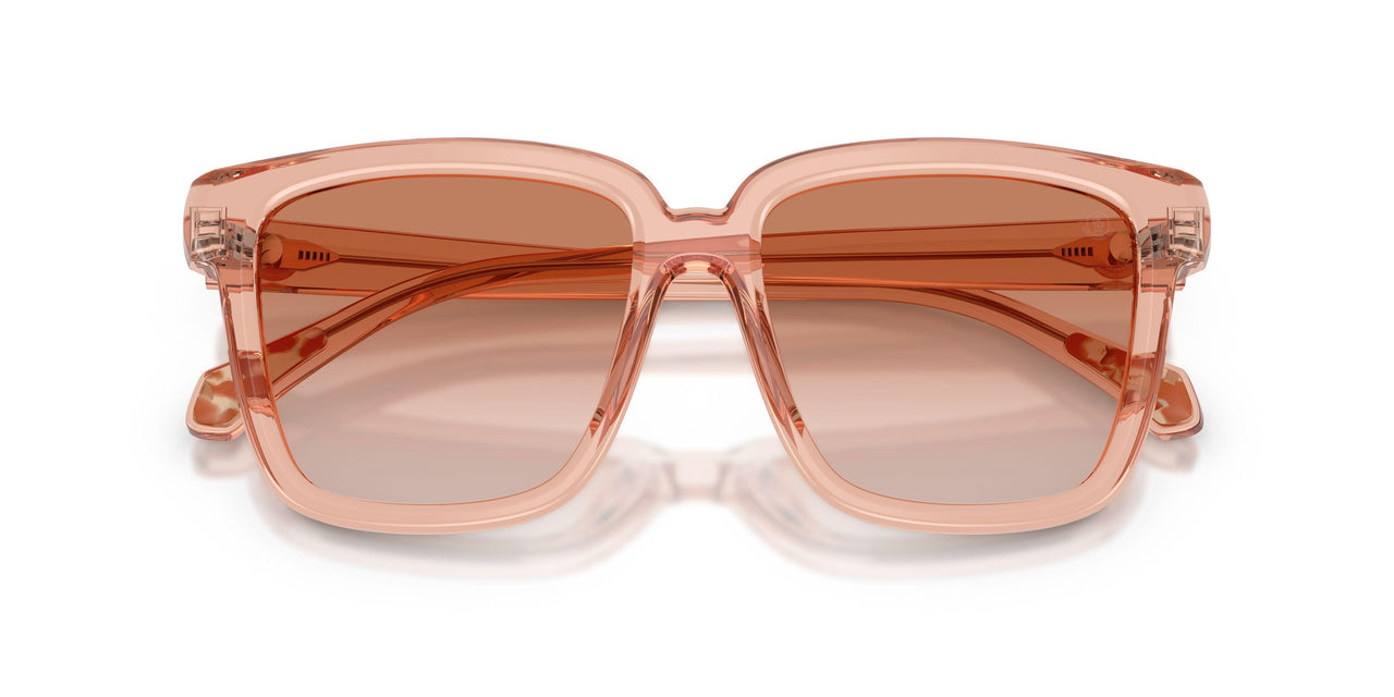 304513 - Pink - Gradient Light Brown