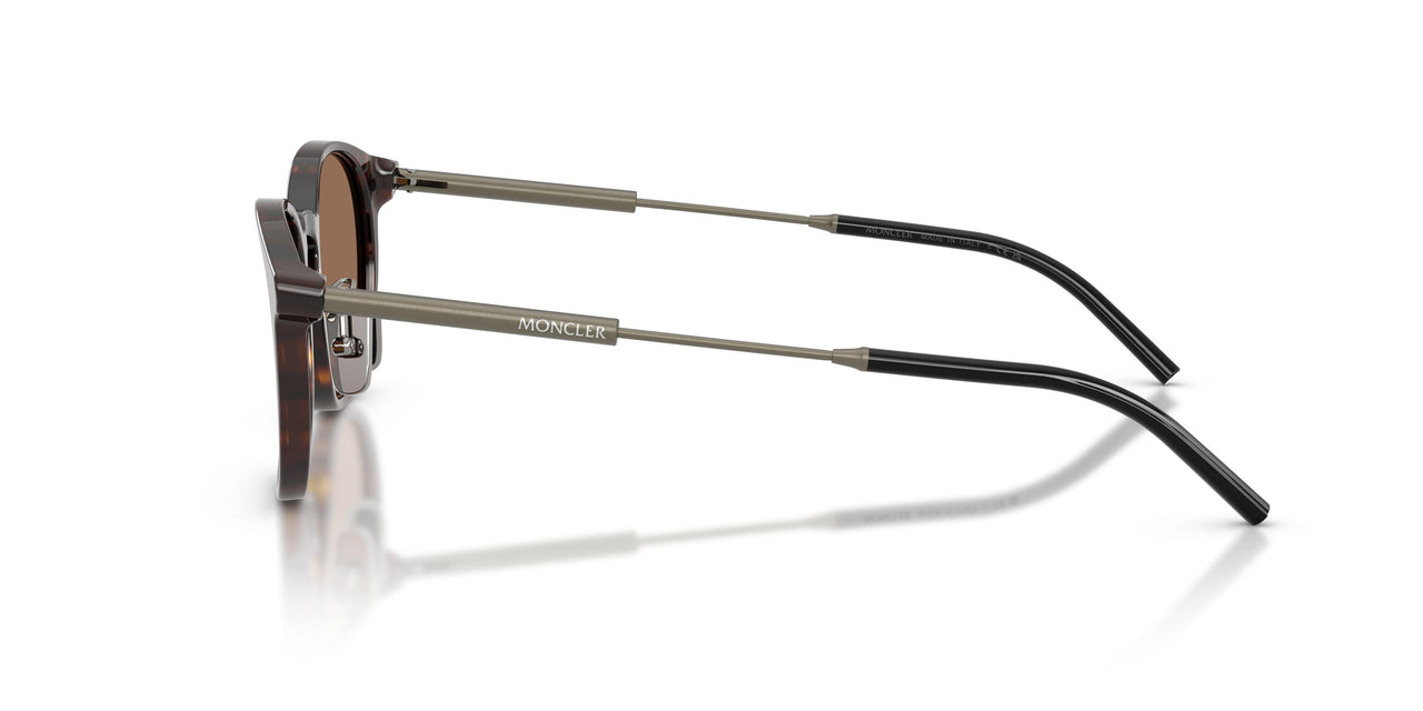 300273 - Tortoise - Brown Solid