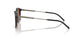 300273 - Tortoise - Brown Solid