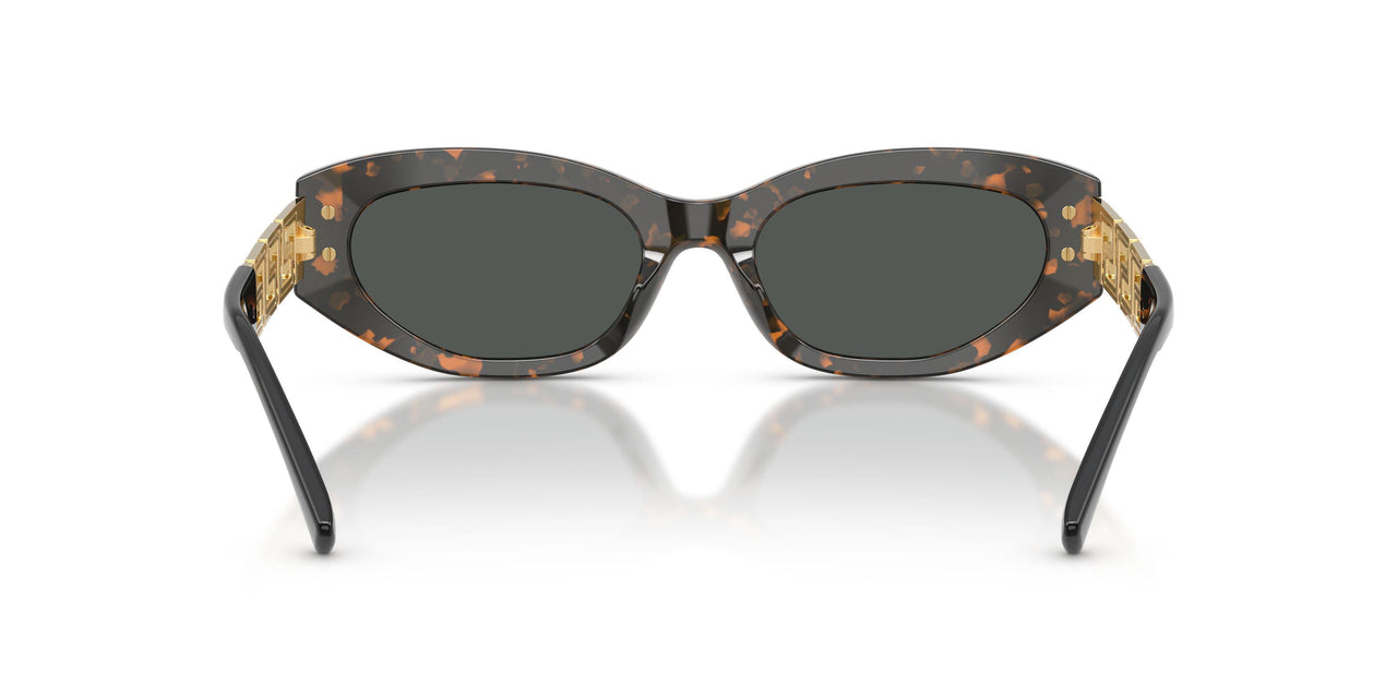 552887 - Tortoise - Dark Grey