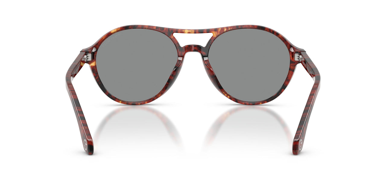 623402 - Tortoise - Blue