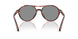 623402 - Tortoise - Blue