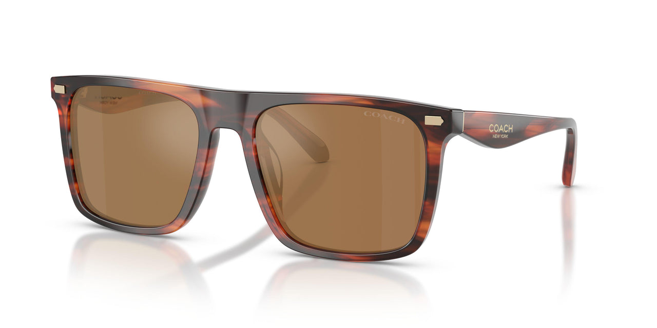 5906/O - Brown - Brown Flash