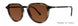 Valdo Matteo Sunglasses